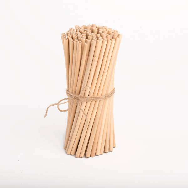 mua ống hút tre giá sỉ ở đâu - bamboo straws vietnam