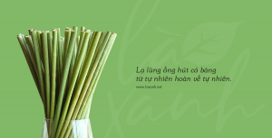 ống hút cỏ bàng - grass straws vietnam